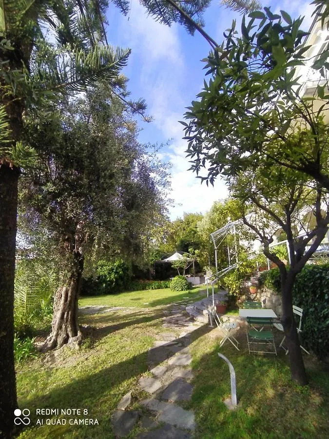 Pergolato Junior Apartment Sanremo